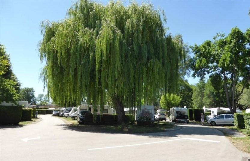 Camping Du Paquier Fane 沙尼 外观 照片